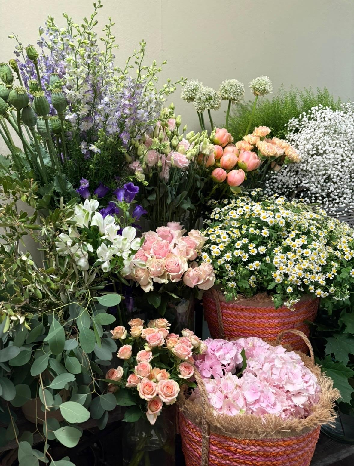 Abundo Schnittblumen