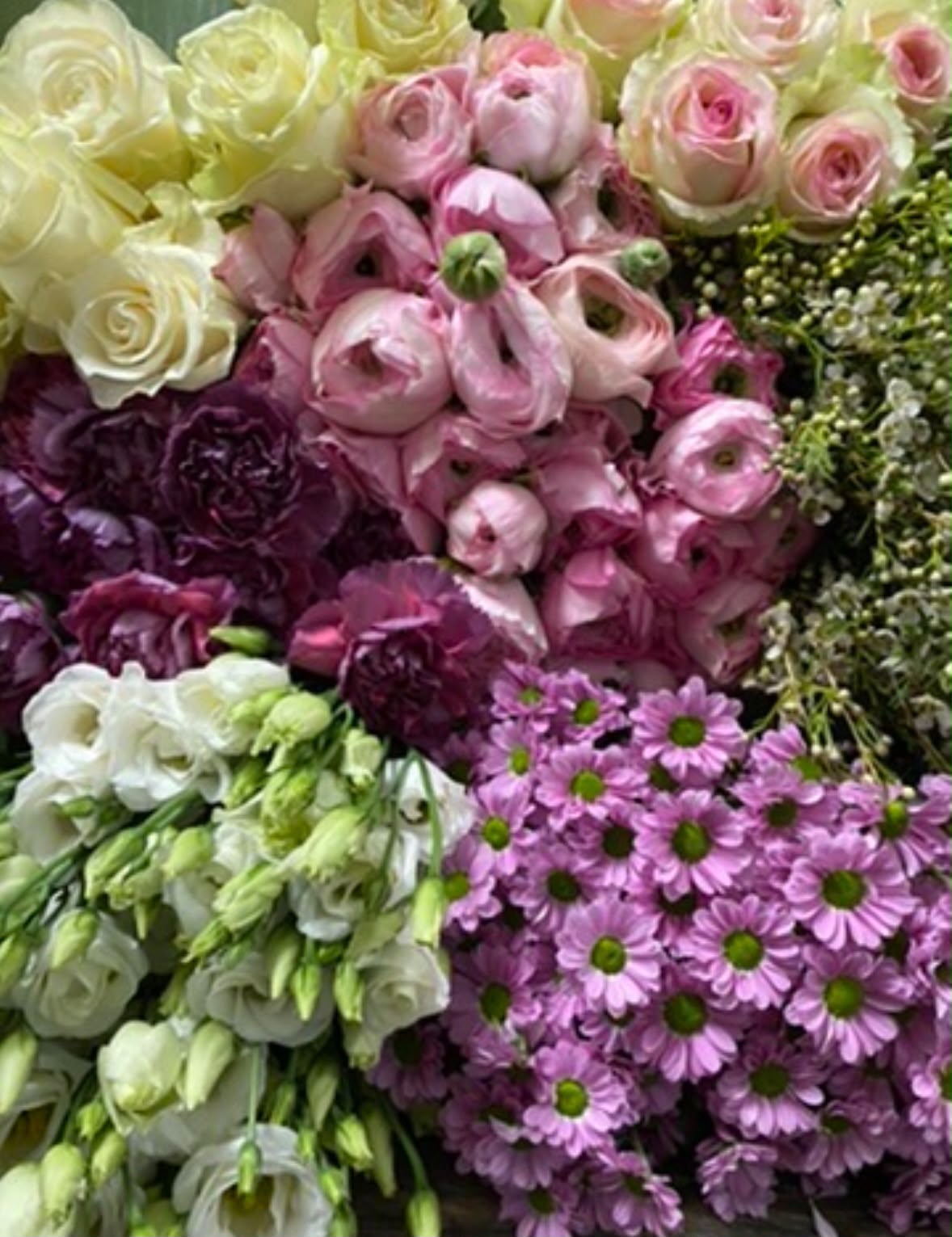 Abundo Schnittblumen