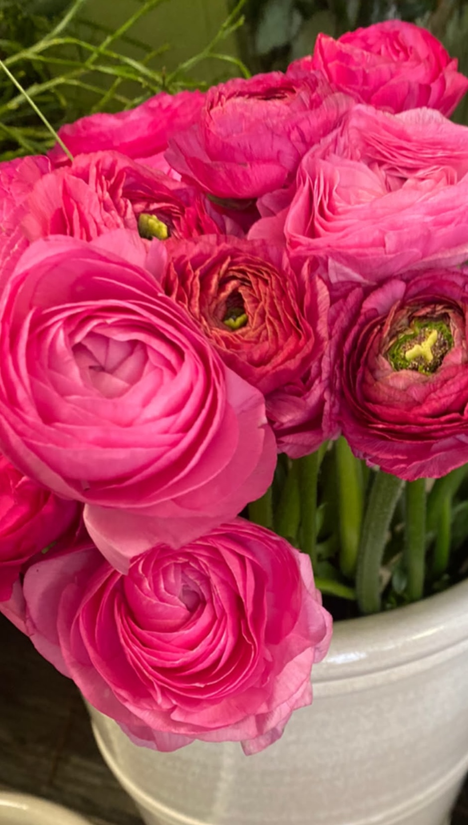 Abundo Schnittblumen
